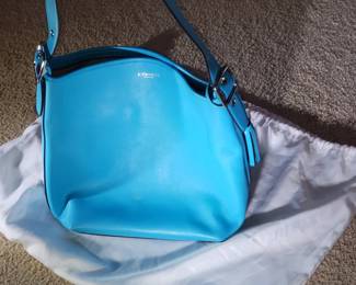 Coach Bag 2 Slouchy Style Robins Egg $50