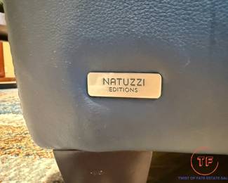 NATUZZI Powered Leather Sectional 