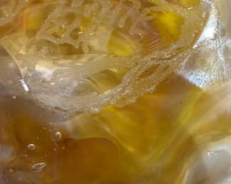 "Golden Moments" Bowl by White Elk's Visions in Glass