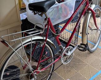 Schwinn 1985 World Sport