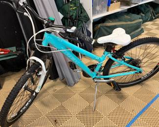 Trek Skye Mountain Bike