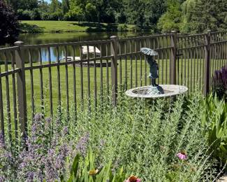 Bird Bath