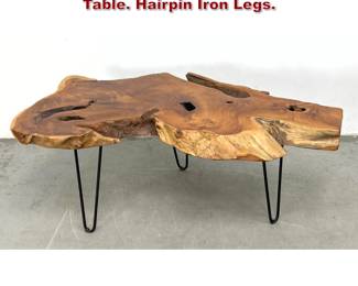 Lot 221 Thick Natural Slab Freeform Coffee Table. Hairpin Iron Legs.
