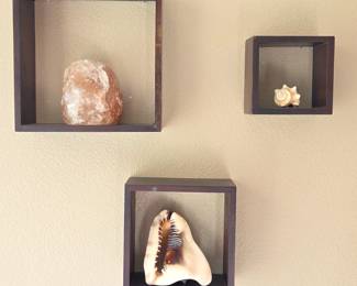 Lot # B147 - Natural Decorative Seashells and Himalayan Salt Rock in Wooden Display Shelves