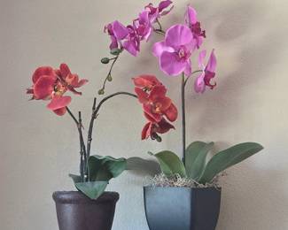 Lot # B221 - Kohl's Faux Orchid Floral Arrangements in Decorative Pots