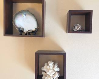 Lot # B146 - Natural Sea Shell and Coral Wall Shelf Decor Set in Dark Wood Box Shelves