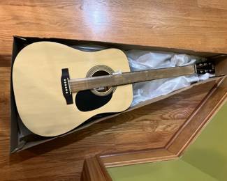 New in the box Rogue guitar