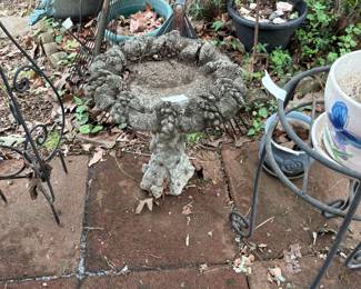 Outside area with plants and more