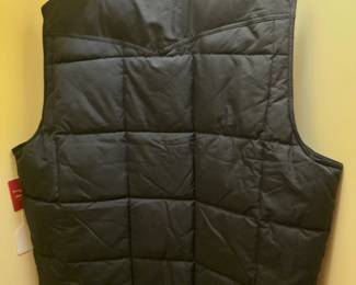 Back of vest 