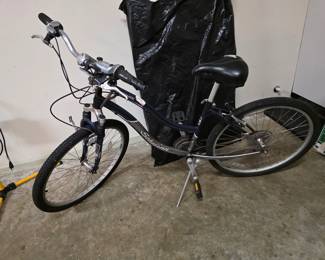 Bicycle in garage 