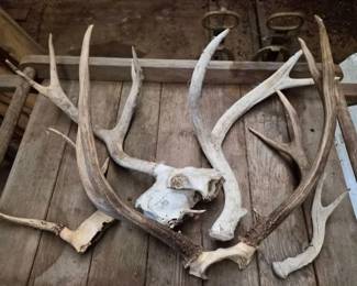 Antlers