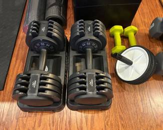 FLYBIRD - Adjustable Dumbbell Set