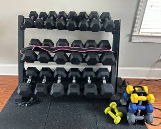 Dumbbell Set - to 55lb