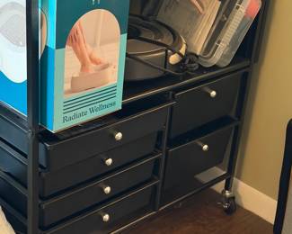 Rollable storage container