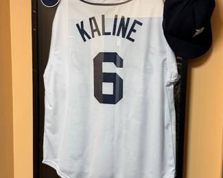 Detroit Tigers framed Kaline jersey