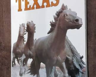 Book  Texas Places