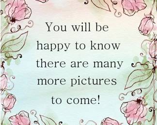 More pictures will be added mid-week > Wednesday-Thursday