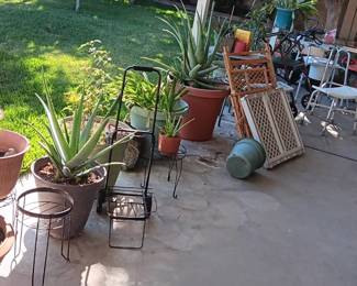 More Plant items & Some Health Care items.
