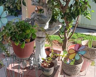 Various Plants; Pottery & Yard Items
