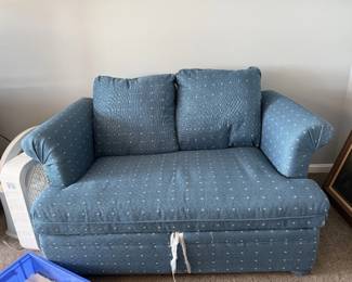Sleeper Love Seat