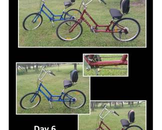 Day 6 Cruiser Bikes