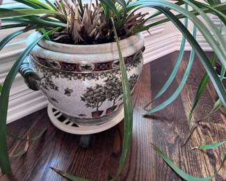 Beautiful Pot