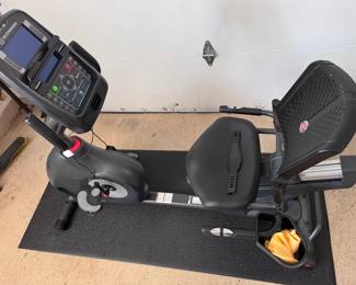 Schwin Recumbent Exercise Bike