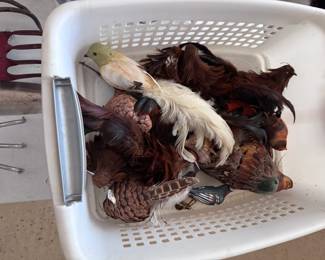 Clip On Decorative Birds