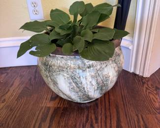 100 + year old planting pot, comes with plant