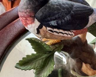 Lenox bird
