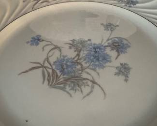 Haviland Limoges Bergere  china…set