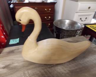 Large swan
