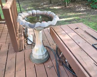 Bird bath