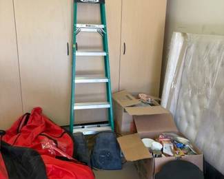 LADDER AND CHRISTMAS TREES IN STORAGE BAGS