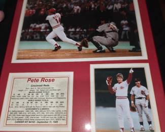 PETE ROSE