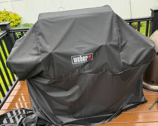 Weber grill