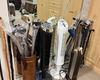 Cane collection