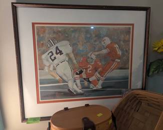 TN Vols Picture