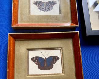 Butterflies!
