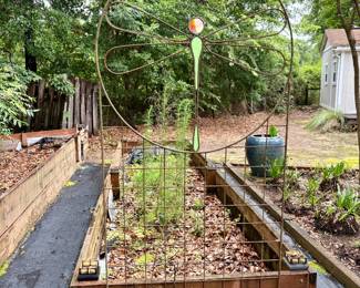 Plants and Pots for Sale plus Hoses!