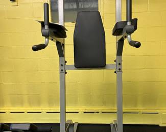 Body solid, vertical knee and chin machine