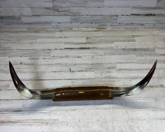 T Lot #80 Vintage Texas Longhorn steer horns mounted on a rustic wood display plank