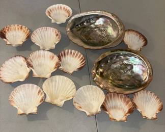 Lot #4 Natural Abalone Shell Lot 2 Large Iridescent & 13 Scallop Shells Craft Decor