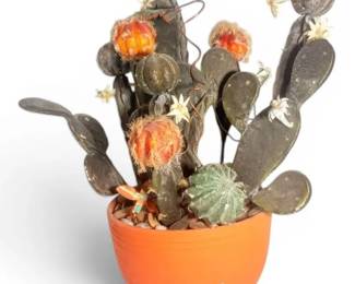 Heavy Faux Cactus Plant in Terracotta Pot