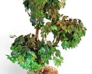 Faux Ficus Tree