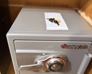 Sentry Safe
