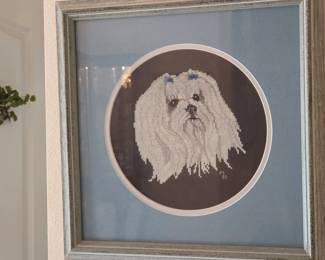 Maltese Dog Collection