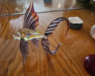Glass fish