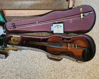 Violin