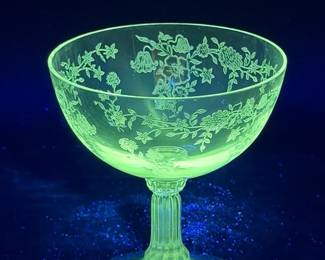 (6) Fostoria Bouquet Or Chintz Champagne Coupes